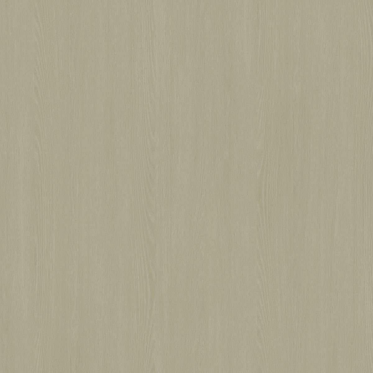 MW 755 - Minimal Huş Kaplama Kağıdı